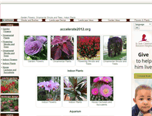 Tablet Screenshot of accelerate2012.org